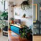 Plantas para apartamento resistentes e fáceis de cuidar
