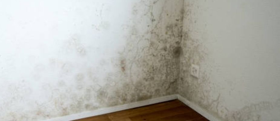 Como tirar cheiro de mofo do quarto​? Aprenda a manter seu quarto sempre cheiroso!