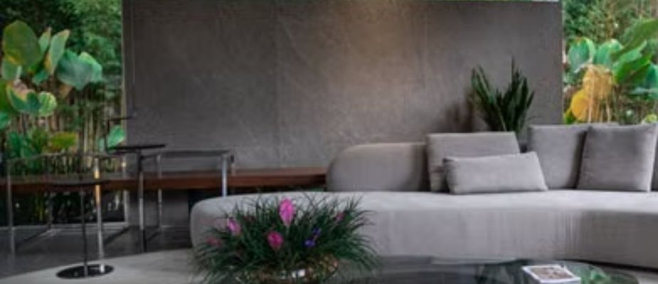 Como combinar móveis e plantas na decoração?
